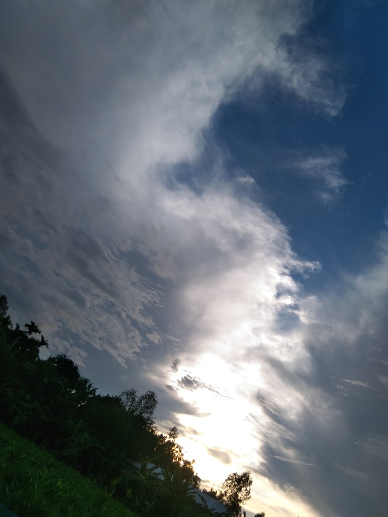 IMG_20220911_173525.jpg