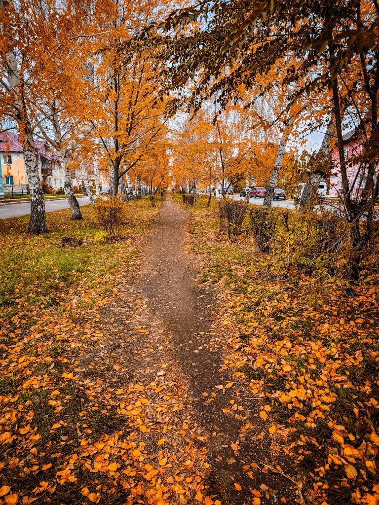 20231020_155647-Edit.jpg