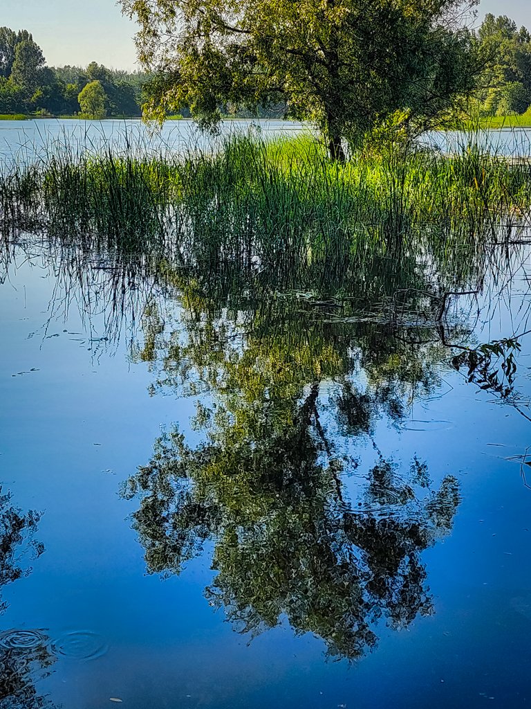 20240706_181021.jpg