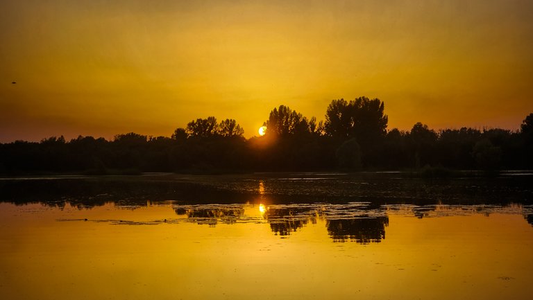 20240703_212306.jpg