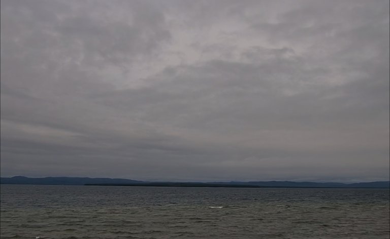 IMG_3950.jpeg