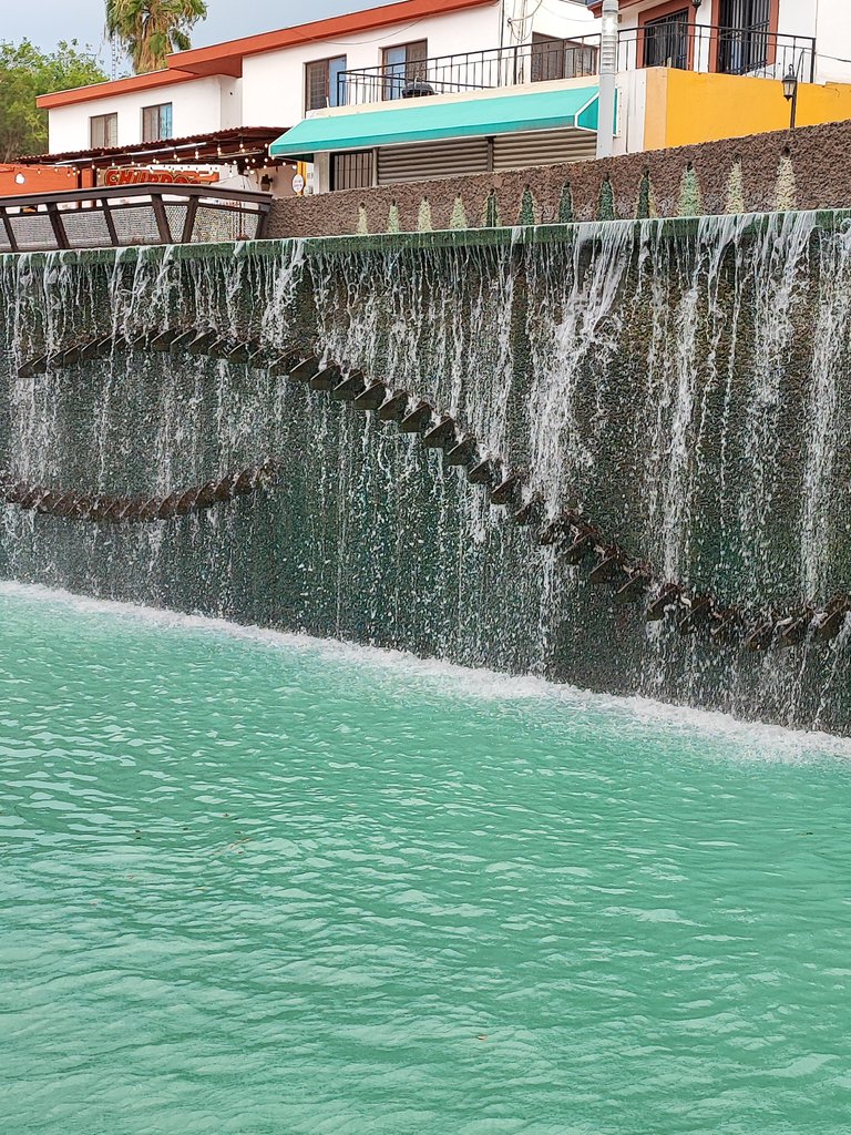 IMG_20230505_170040.jpg