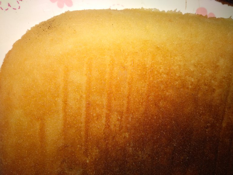 20250525_145306.jpg