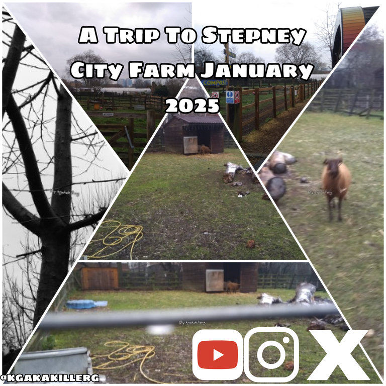 kgakakillerg original content A Trip To Stepney City Farm| Walk Around Stepney City Farm January 2025 part 1 💯 Original Content