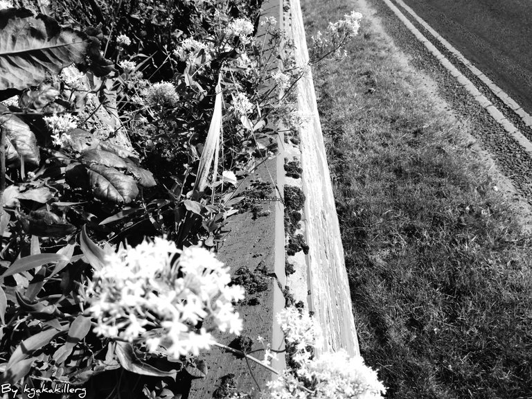 kgakakillerg original content