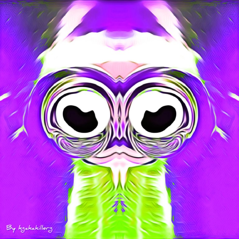 kgakakillerg original content