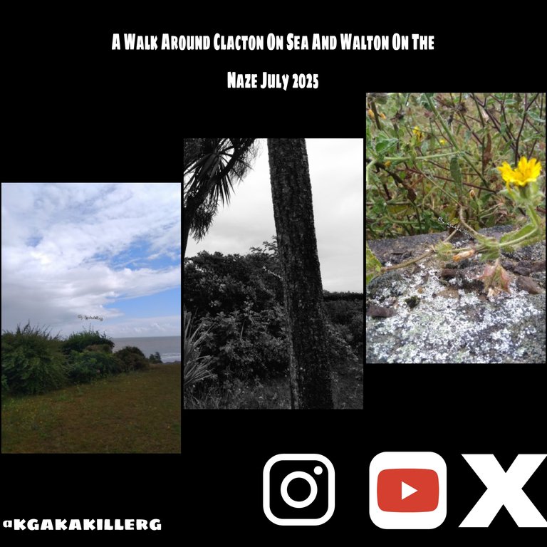kgakakillerg original content
