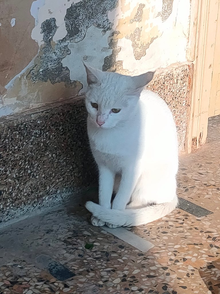 IMG20231209085249.jpg