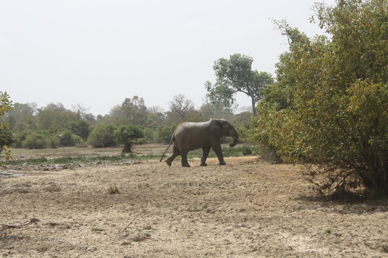 Ghana 2011 1723.JPG