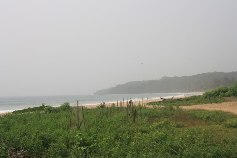 Ghana 2011 858.JPG