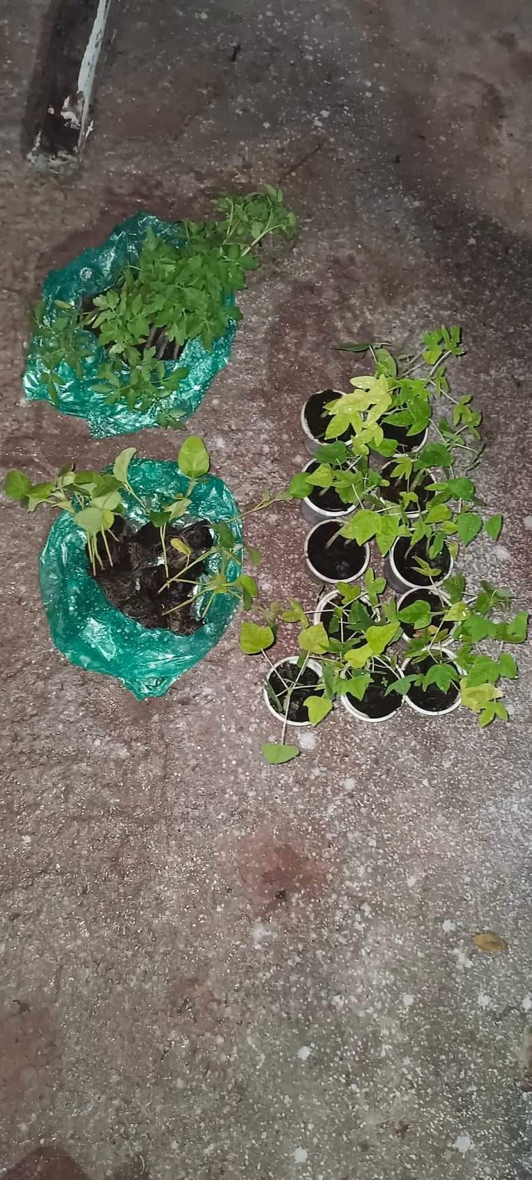 received_639413377754632.jpeg