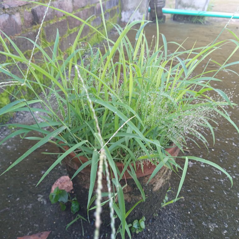 20220704_064710.jpg