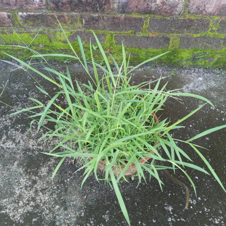 20220704_064652.jpg