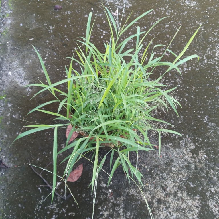 20220704_064659.jpg