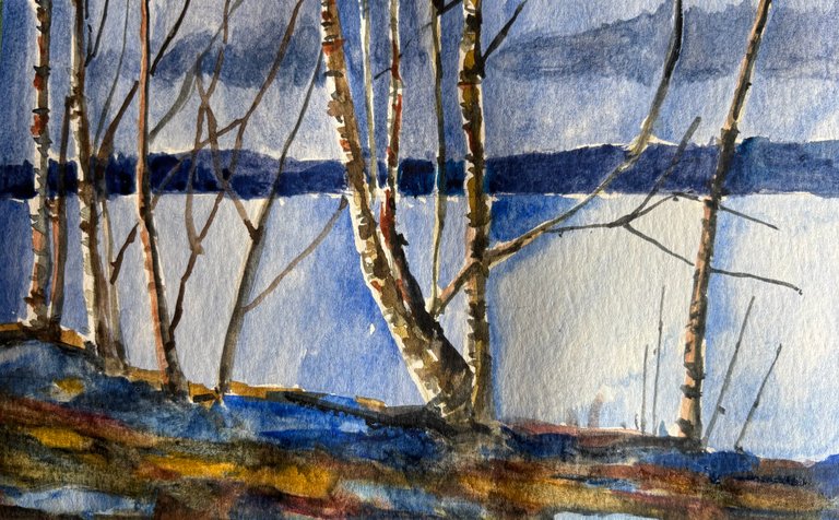 My latest Watercolour painting - Birch Trees on the Rideau