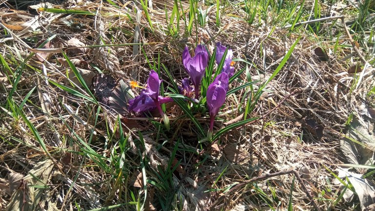 Endlich wieder Frühling