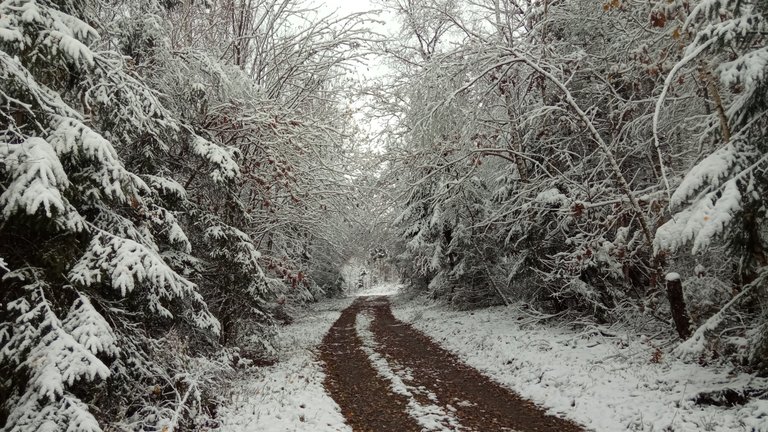 Ein kurzer Wintergruß