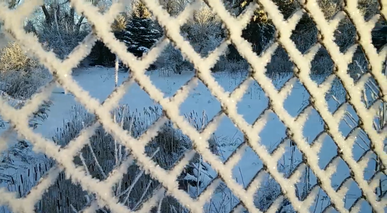 Dünne Eisschicht durch gefrierenden Regen