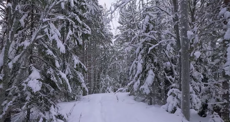 Viel Schnee im Hochsauerland