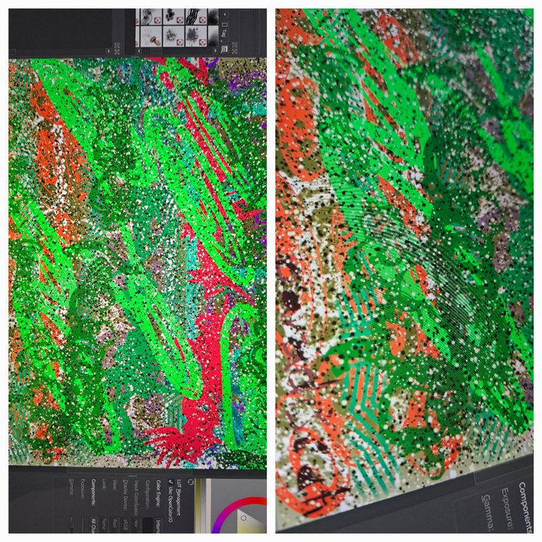 1000024200.jpg