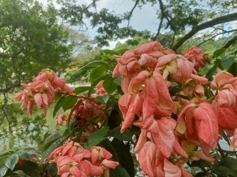 IMG20230220170546.jpg