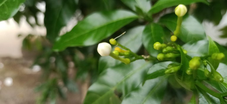 IMG20220826164623.jpg