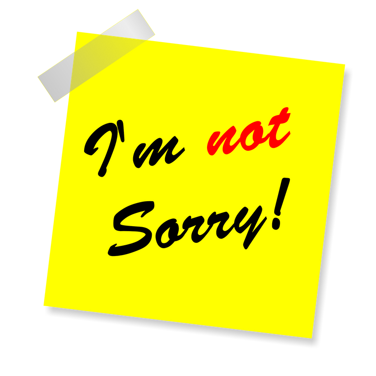 im-not-sorry-ga152b043d_1920.png