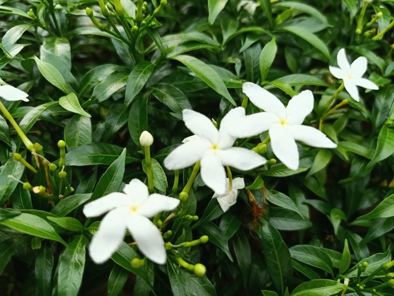 IMG20230320170859.jpg