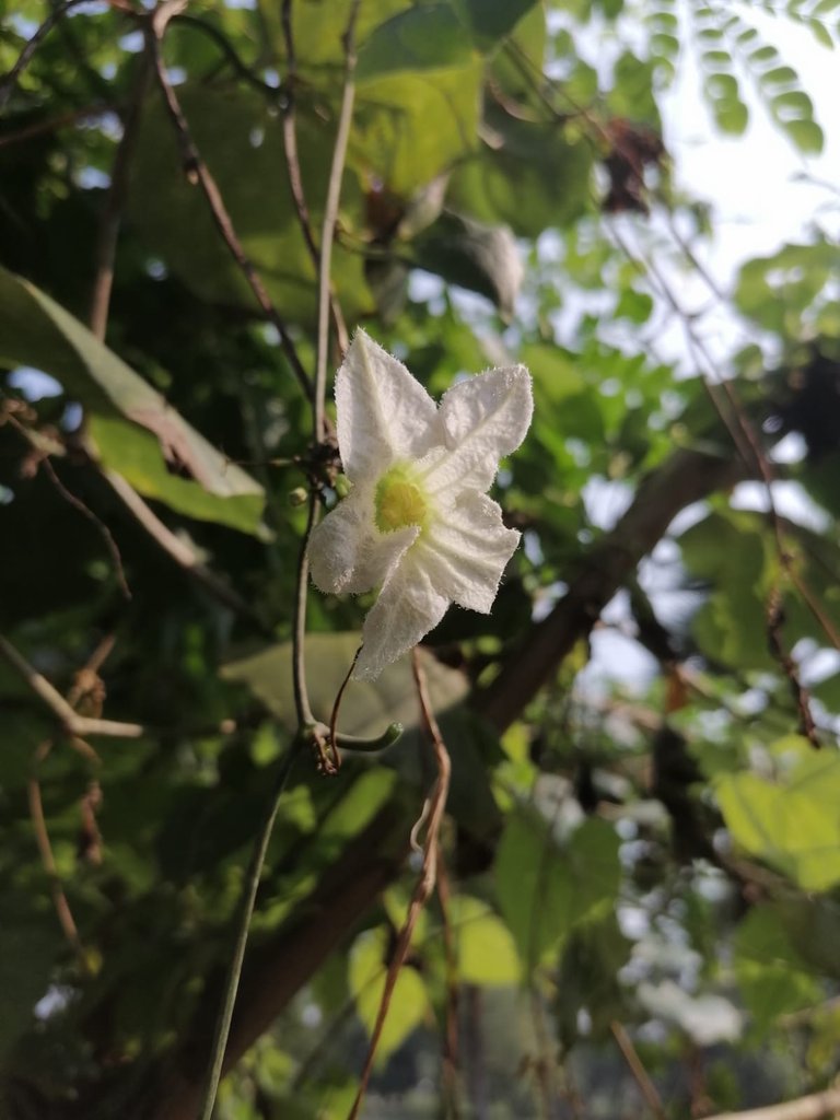 ef4e262b-f7dd-409b-974b-7635ff172c6e.jpeg