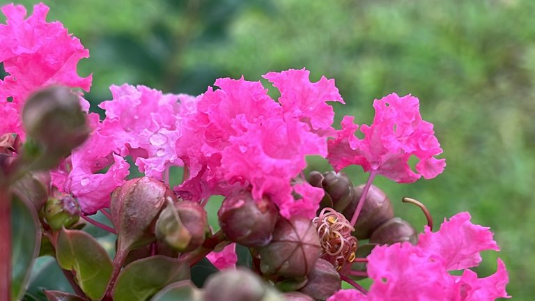 IMG_2491.jpeg