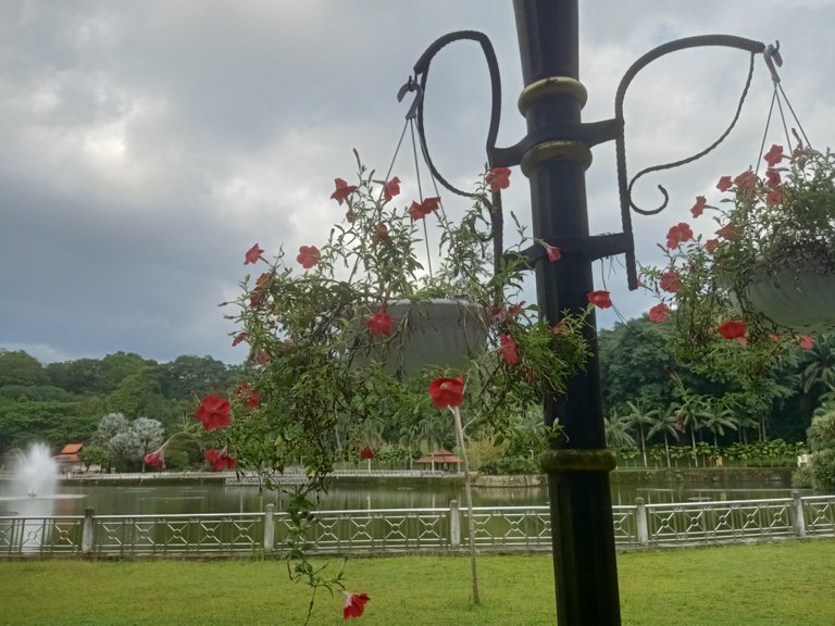 IMG20230220165716.jpg