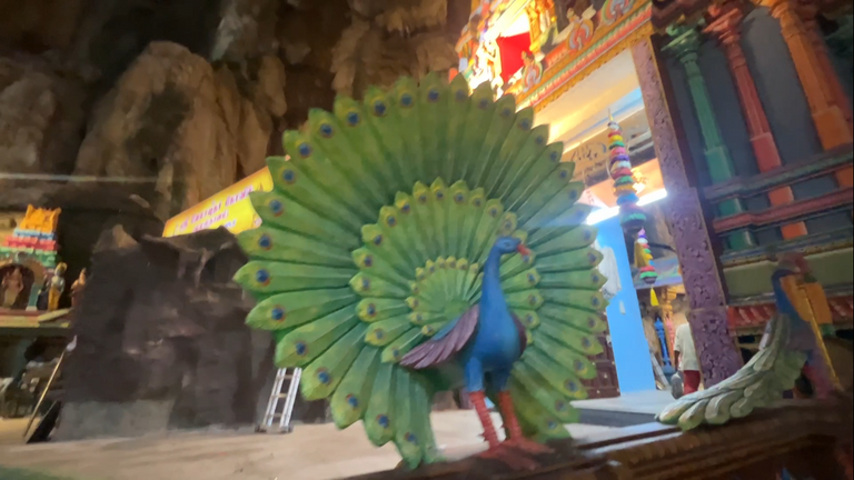 Screenshot (53).png