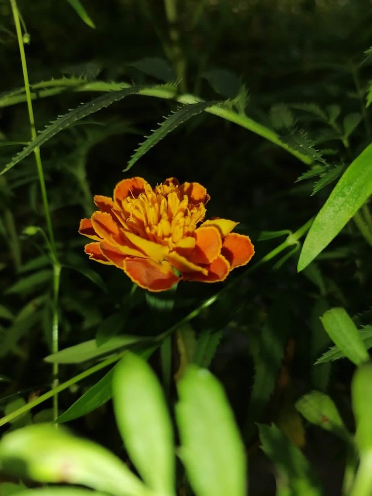 2be5d97e-0ee6-480e-a8a7-85f3414f6737.jpeg