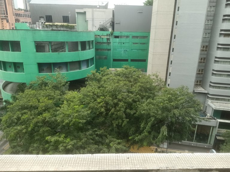 IMG20230303134640.jpg