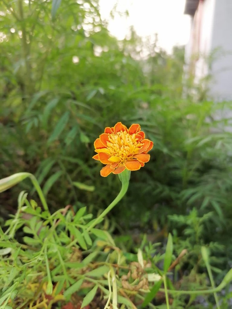 7348253e-c449-4a4a-b0ca-0c5c2f6b6cc3.jpeg