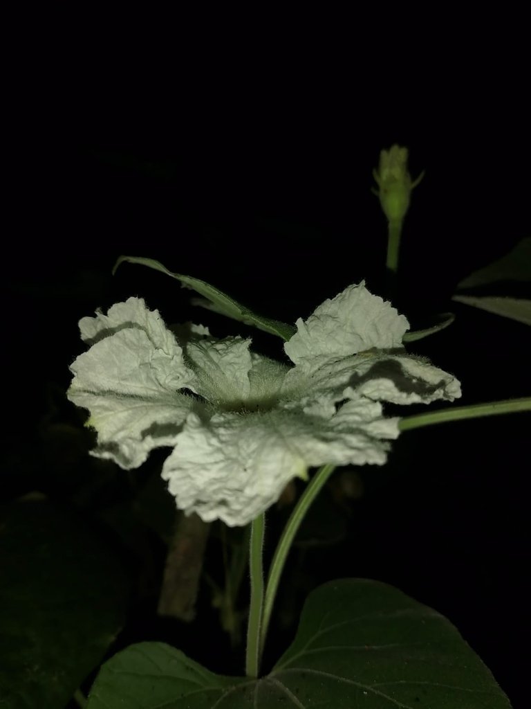 79cda4e0-46b8-4cf3-8055-c59c1c59829b.jpeg