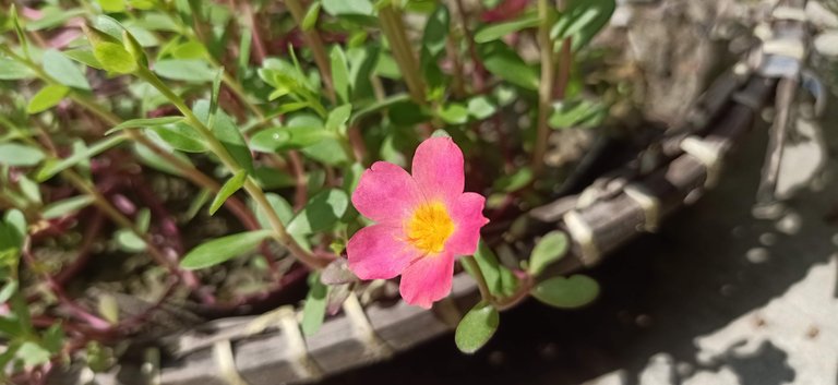 IMG20220825091114.jpg