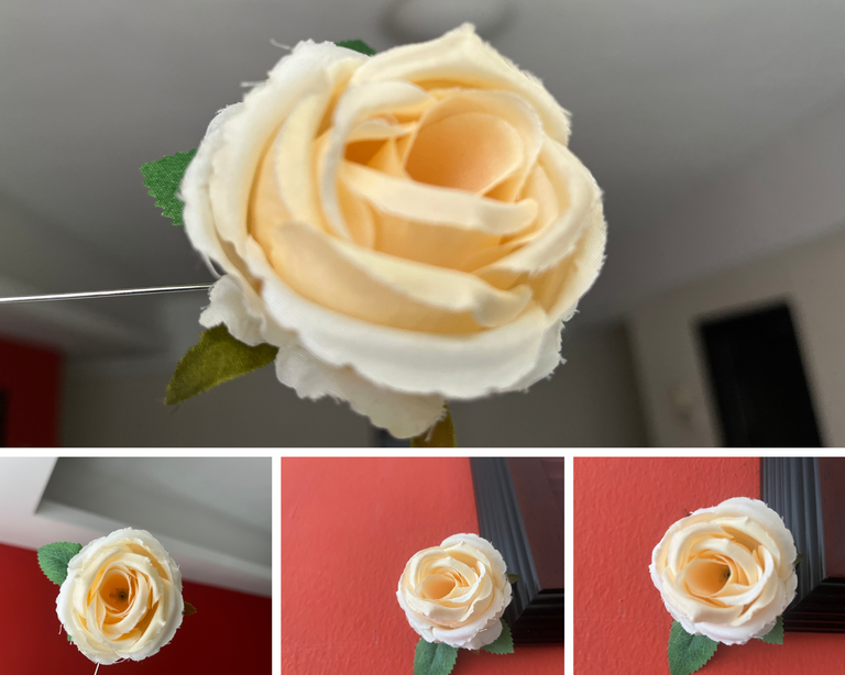 Untitled design (22).png
