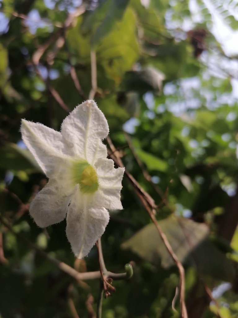99b89ada-714f-4c52-a3be-484a9d2885d3.jpeg