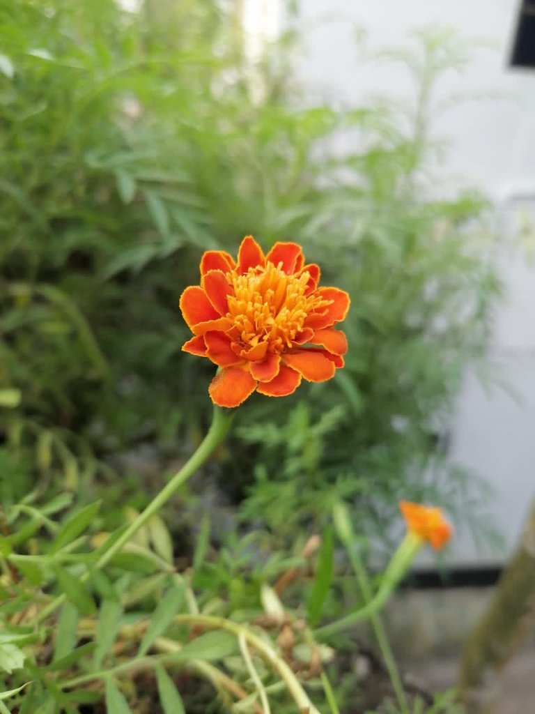 18e9f52d-c633-4f14-8d6f-4fec6c5153e2.jpeg