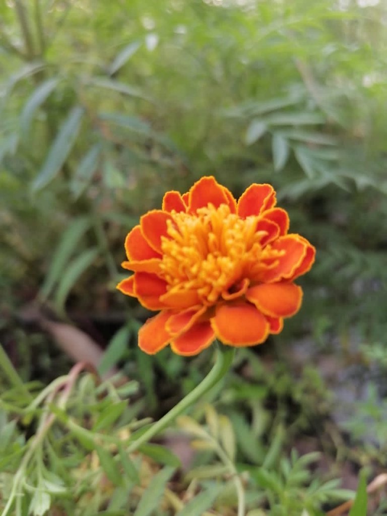 853040e6-75db-432d-9d57-edcd3a55c642.jpeg