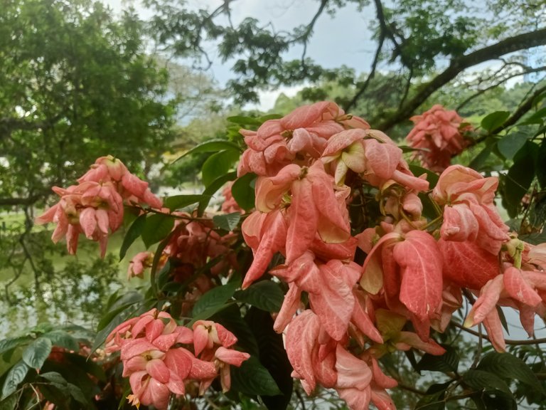 IMG20230220170545.jpg