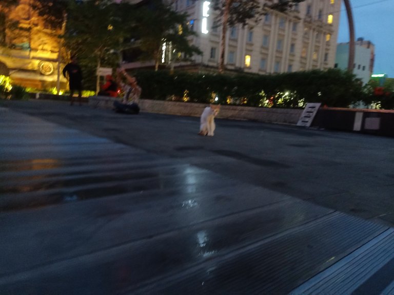 IMG20230206194114.jpg