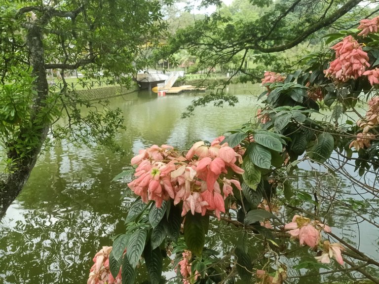 IMG20230220170548.jpg