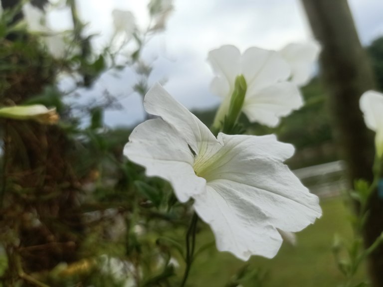 IMG20230220165511.jpg