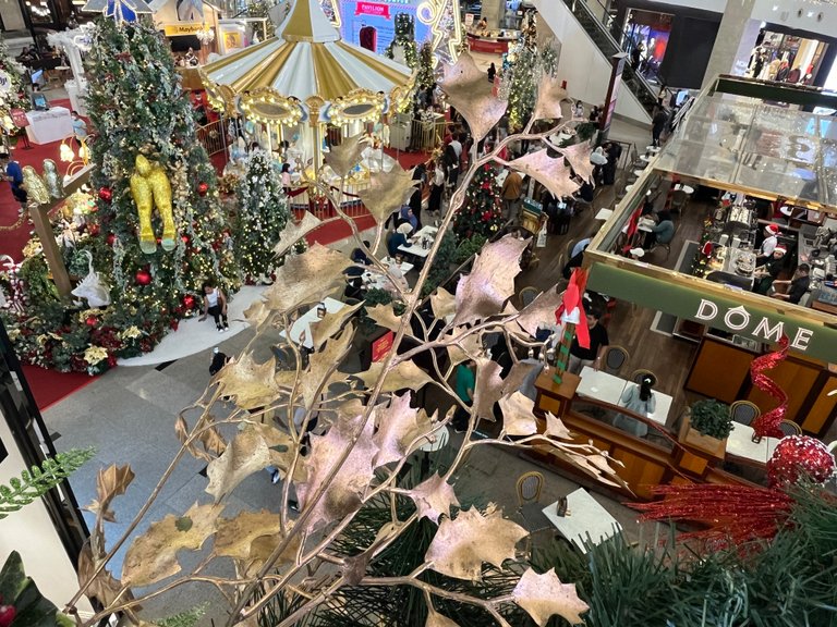 IMG_7958.jpeg