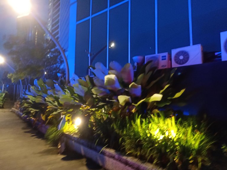 IMG20230206194332.jpg