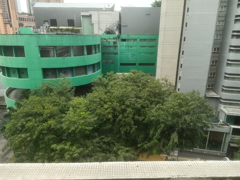IMG20230303134641.jpg