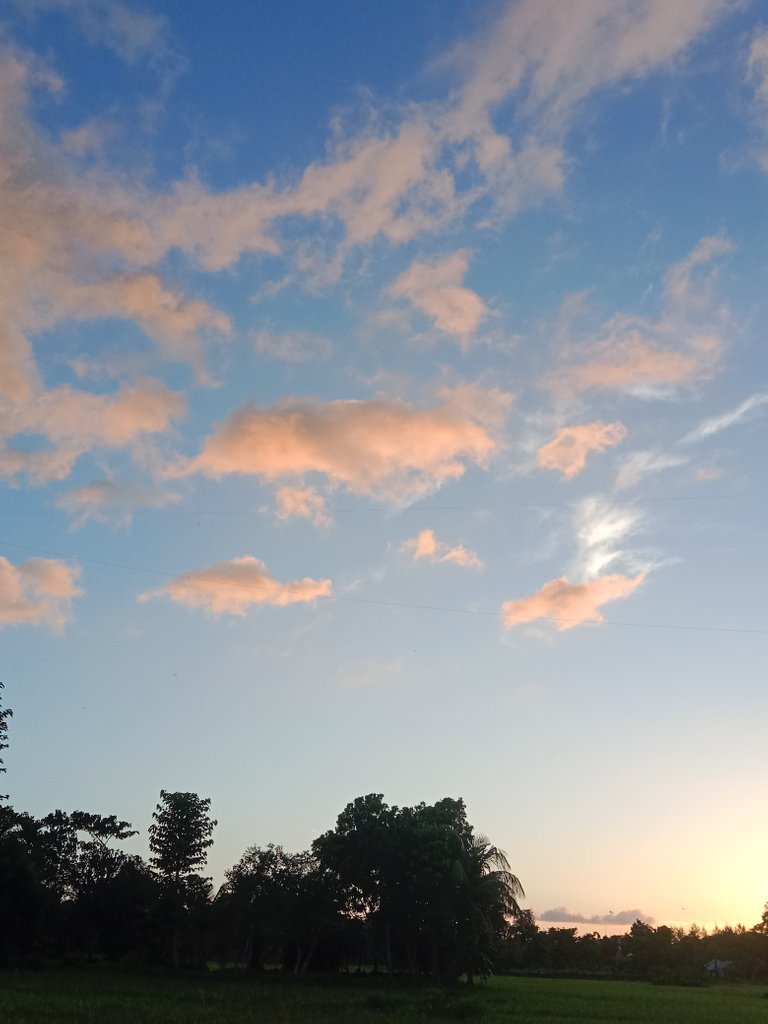 IMG_20230718_183428.jpg