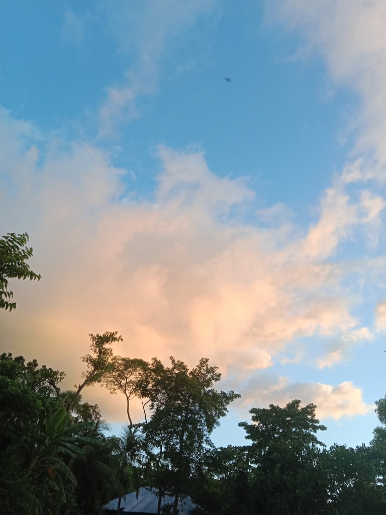 IMG_20230718_183342.jpg